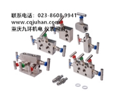 仪表阀组_一体化阀组