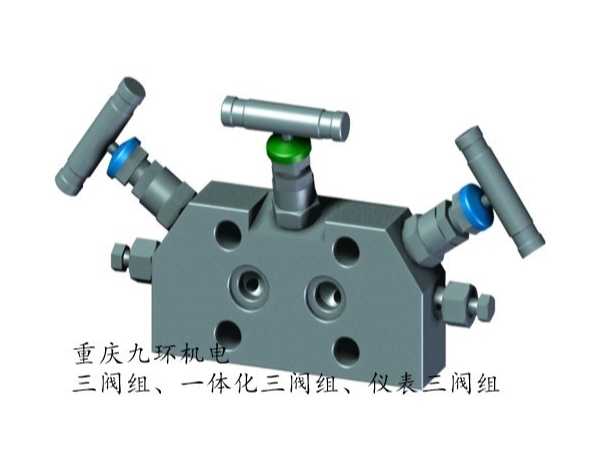 三阀组结构图_差压变送器三阀组-重庆九环机电三阀组