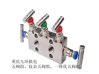 差压变送器用五阀组-五阀组规格型号
